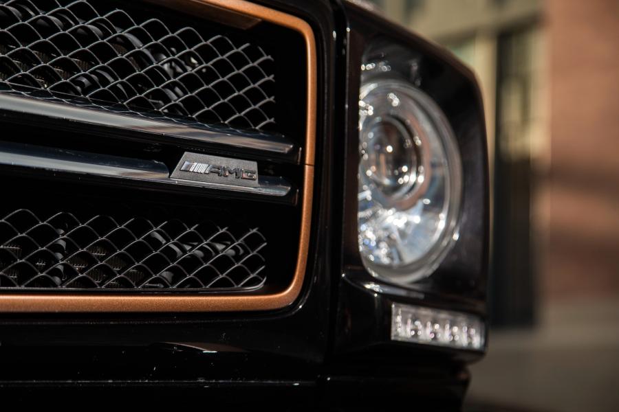 Детали экстерьера Mercedes-AMG G65 Final Edition (W463) 2018 года  (NA) (фото 6 из 40)